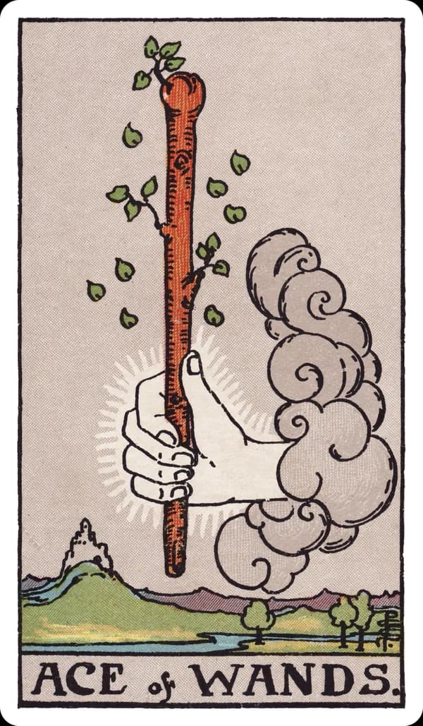 The Ace of Wands from the Rider-Waite-Smith deck: a hand emerges from a grey cloud holding a thick, knotted wooden staff that sprouts fresh green leaves along its length, several leaves drifting toward a fertile valley below where a small castle sits on a distant hill.