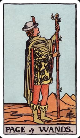 The Page of Wands from the Rider-Waite-Smith deck: a young figure in a tunic patterned with salamanders stands in a desert landscape, holding an upright wand at arm's length and examining it with curious attention, three distant pyramids visible on the horizon.