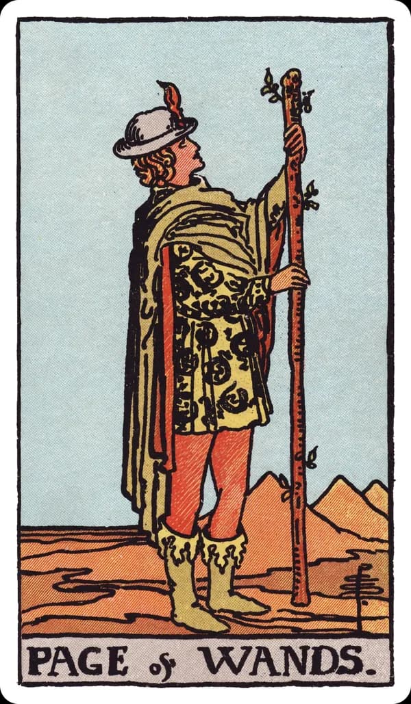 The Page of Wands from the Rider-Waite-Smith deck: a young figure in a tunic patterned with salamanders stands in a desert landscape, holding an upright wand at arm's length and examining it with curious attention, three distant pyramids visible on the horizon.