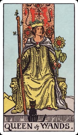 The Queen of Wands from the Rider-Waite-Smith deck: a queen sits facing forward on a throne carved with lions and sunflowers, holding a tall budding wand in one hand and a sunflower in the other, a black cat seated calmly at her feet, sunlight filling the desert scene behind her.